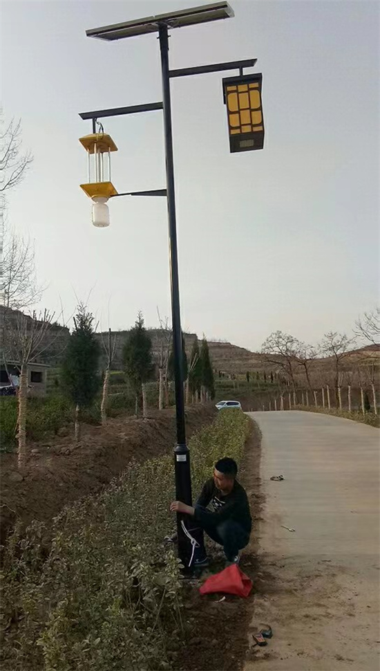 甘肃陇南市文县596套7米太阳能杀虫灯太阳能路灯