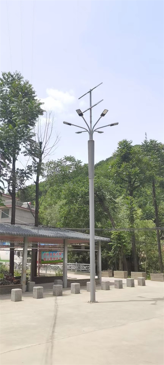 商洛市柞水县小岭镇景观高杆10米太阳能路灯