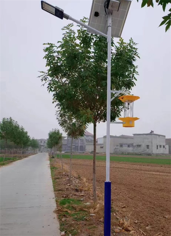 山西省晋中市太谷县590套6米太阳能路灯