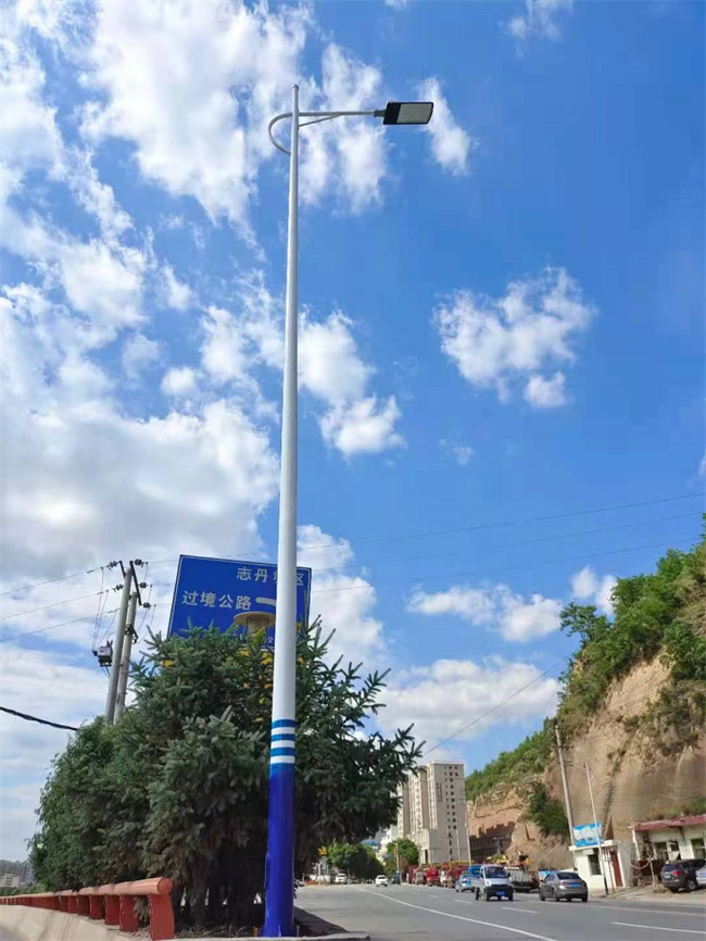 延安志丹县环城国道10米368套市电路灯