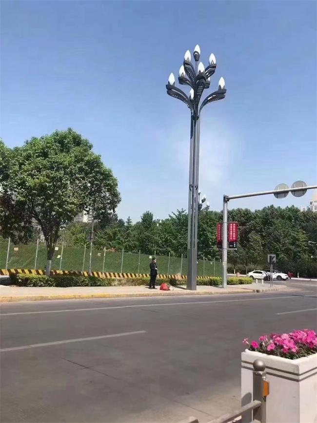 汉中98套12米玉兰灯市电路灯
