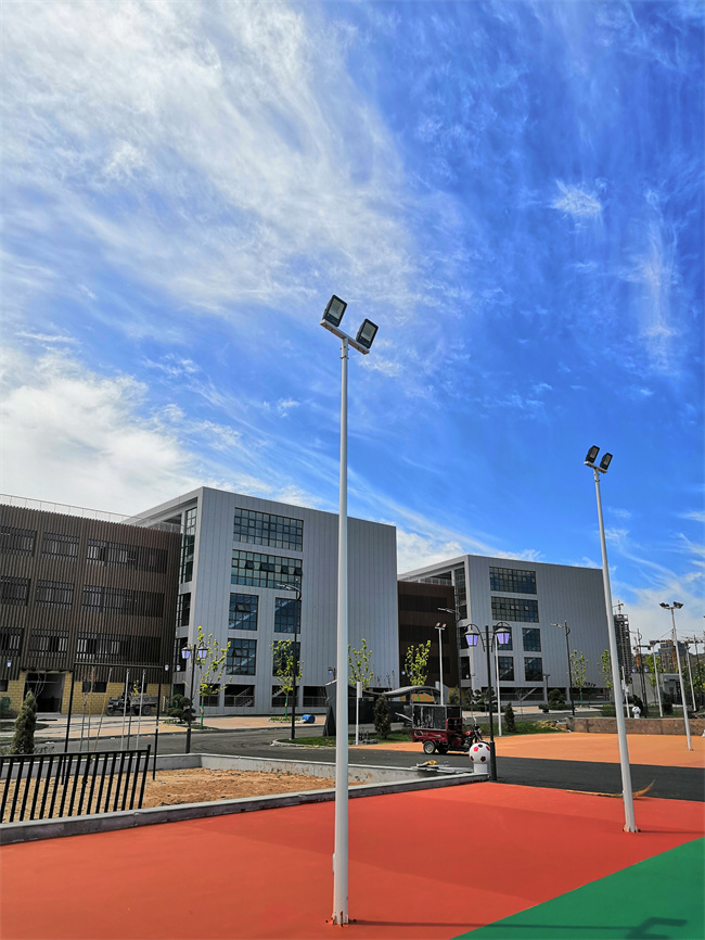 延安新区第二中学8米市电路灯
