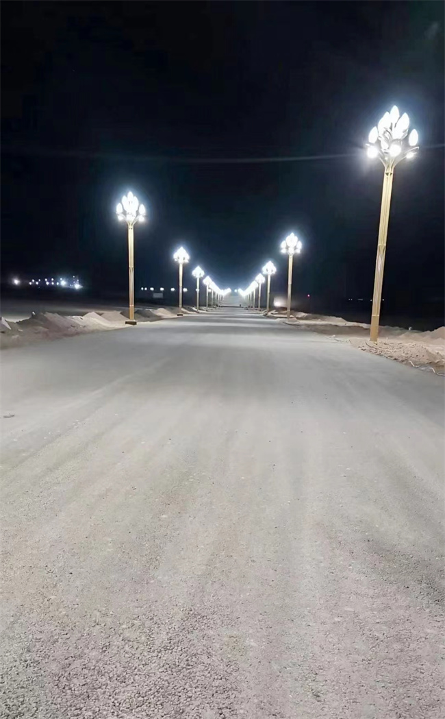 西安市沣西12米玉兰灯市电路灯360套